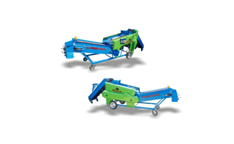 Krukowiak Gawron Mini M647/1