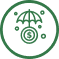 Ikona