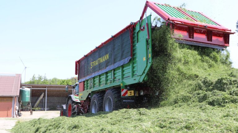 Strautmann Magnon 10